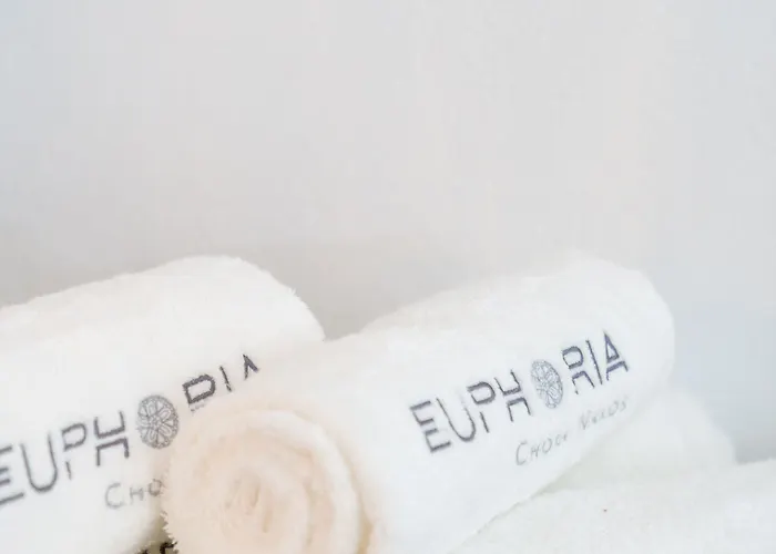 Euphoria Chora Naxos Aparthotel Naxos City