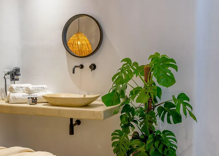 Aparthotel Euphoria Chora Naxos