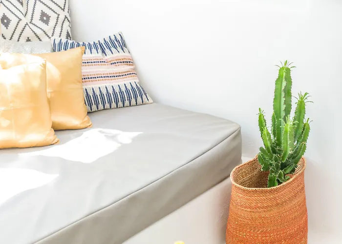 Euphoria Chora Naxos Naxos City