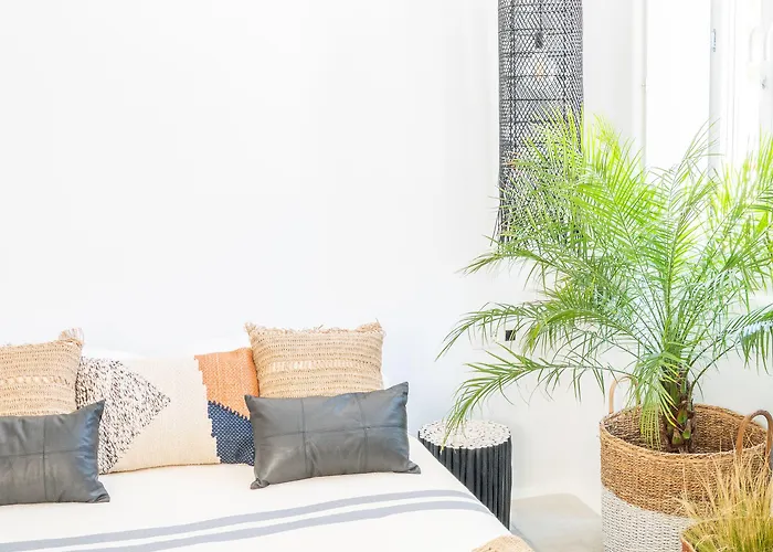 Euphoria Chora Naxos